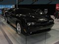 048-img_0917.jpg.small.jpeg