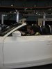 074-img_0946.jpg.small.jpeg
